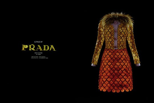 Prada