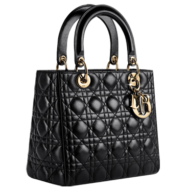 Lady Dior bag