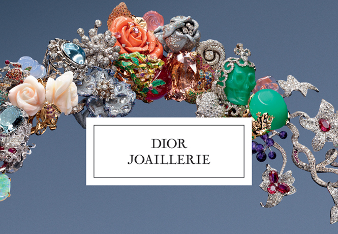 Libro joyeria Dior