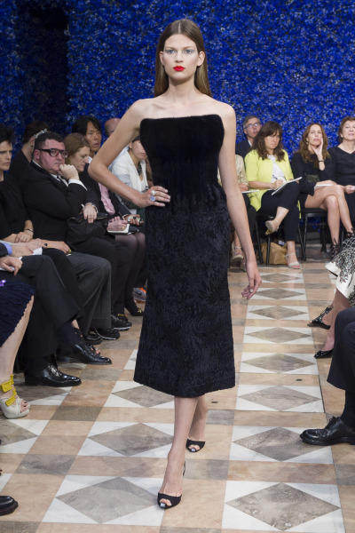 Fall 2012 Couture Dior