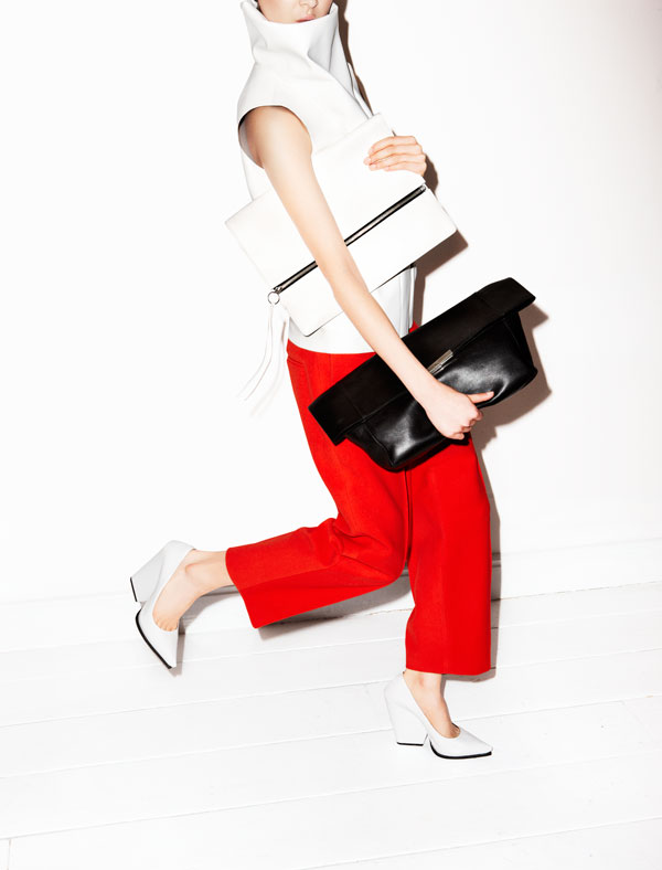 hbz-june-july-2012-bag-of-the-year-celine-clutch-lgn