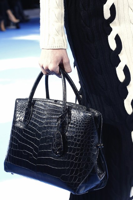 Dior  bags  FW 3013