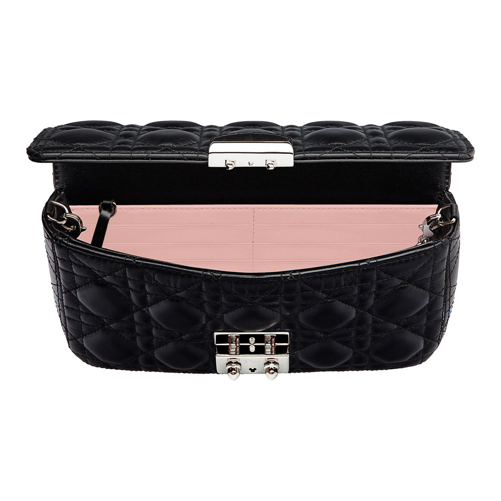 Miss Dior Promenade Pouch Bag